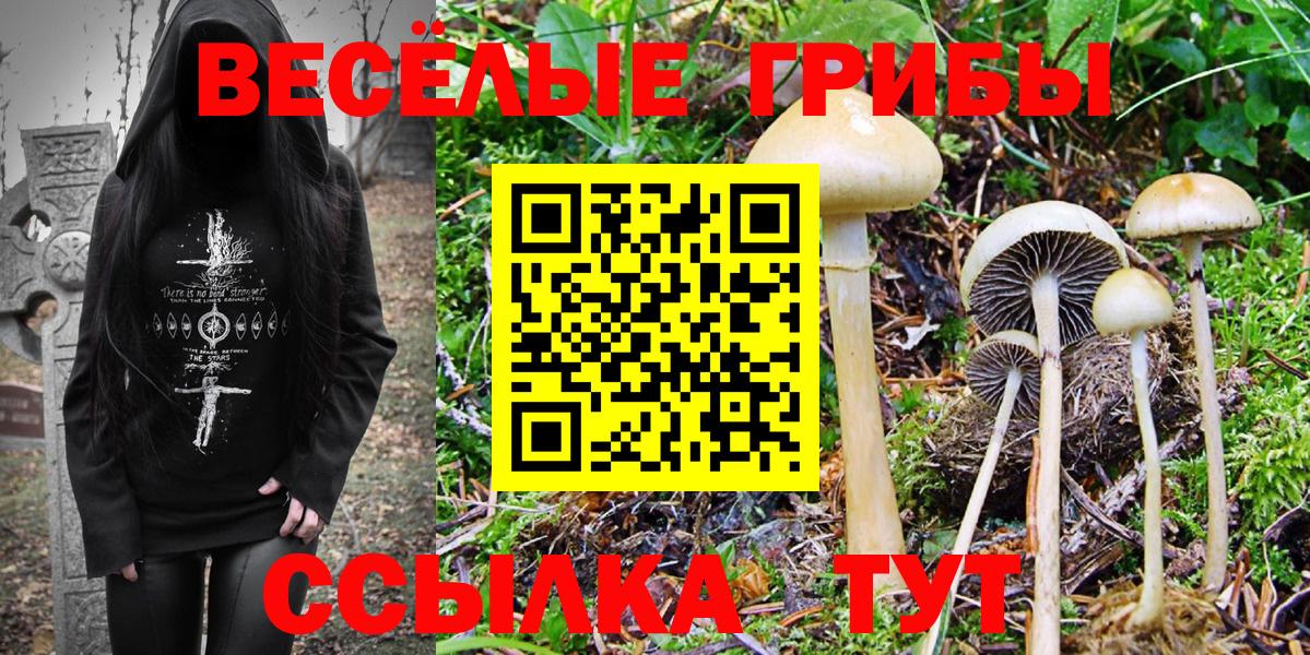 Галлюциногенные грибы GOLDEN TEACHER Ростов-на-Дону