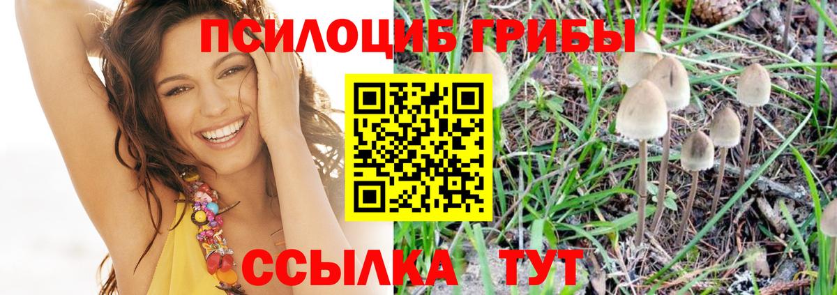купить   Галлюциногенные грибы прущие грибы  Вход с VPN  Галлюциногенные грибы GOLDEN TEACHER  Ростов-на-Дону 